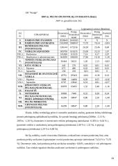 Horizontalioji ir vertikalioji analizė: AB "Gojus" ir AB "Snaigė" 11 puslapis