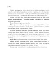 Piniginių operacijų auditas 2 puslapis