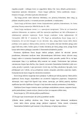 Piniginių operacijų auditas 12 puslapis