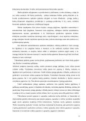 Piniginių operacijų auditas 18 puslapis