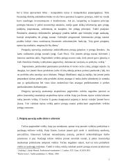 Piniginių operacijų auditas 4 puslapis