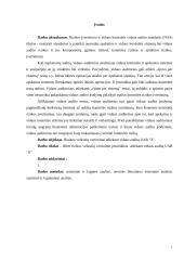 Rizikos veiksnių vertinimas atliekant vidaus auditą įmonėje 2 puslapis