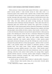 Rizikos veiksnių vertinimas atliekant vidaus auditą įmonėje 4 puslapis