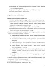 Rizikos veiksnių vertinimas atliekant vidaus auditą įmonėje 7 puslapis