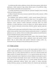 Vadybos apskaitos problemos  17 puslapis