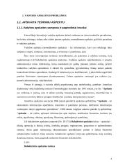 Vadybos apskaitos problemos  4 puslapis