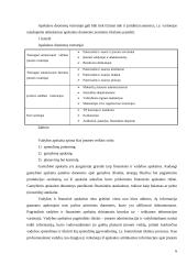 Vadybos apskaitos problemos  6 puslapis