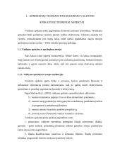 TOC teorija apskaitoje 2 puslapis