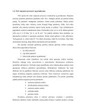 TOC teorija apskaitoje 12 puslapis