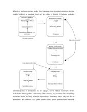 TOC teorija apskaitoje 14 puslapis