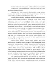 TOC teorija apskaitoje 3 puslapis