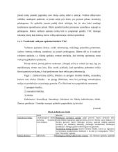 TOC teorija apskaitoje 4 puslapis