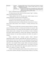 TOC teorija apskaitoje 5 puslapis