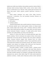 TOC teorija apskaitoje 6 puslapis