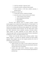 TOC teorija apskaitoje 10 puslapis