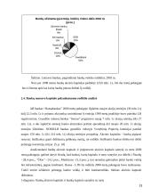 AB banko “Hansabankas” veiklos pagrindiniai rodikliai 13 puslapis