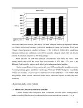 AB banko “Hansabankas” veiklos pagrindiniai rodikliai 15 puslapis