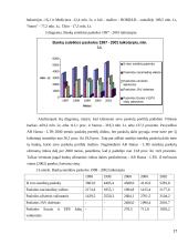 AB banko “Hansabankas” veiklos pagrindiniai rodikliai 17 puslapis