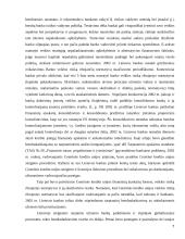 AB banko “Hansabankas” veiklos pagrindiniai rodikliai 7 puslapis