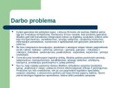 Banko likvidumo ir kredito rizikos valdymas 2 puslapis