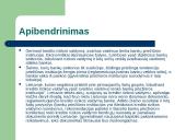 Banko likvidumo ir kredito rizikos valdymas 14 puslapis