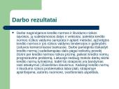 Banko likvidumo ir kredito rizikos valdymas 3 puslapis