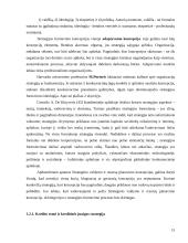 Banko strategijos ir resursų derinimo darbas 15 puslapis