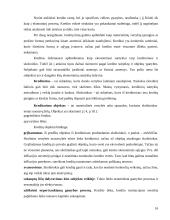 Banko strategijos ir resursų derinimo darbas 16 puslapis