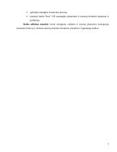 Banko strategijos ir resursų derinimo darbas 3 puslapis