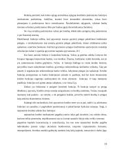 Būsto kreditavimas 13 puslapis