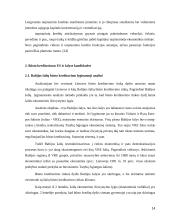 Būsto kreditavimas 14 puslapis