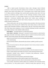 Investicinių bendrovių veikla tarptautinėje rinkoje 2 puslapis