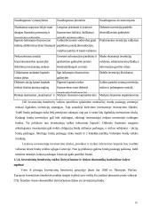 Investicinių bendrovių veikla tarptautinėje rinkoje 16 puslapis