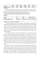 Investicinių bendrovių veikla tarptautinėje rinkoje 18 puslapis