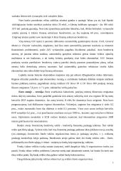 Investicinių bendrovių veikla tarptautinėje rinkoje 5 puslapis