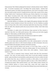 Investicinių bendrovių veikla tarptautinėje rinkoje 9 puslapis