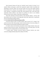 Investicinių bendrovių veikla tarptautinėje rinkoje 10 puslapis