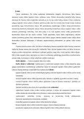 Lietuvos kapitalo rinkos raida 2 puslapis
