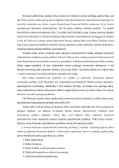 Lietuvos kapitalo rinkos raida 16 puslapis