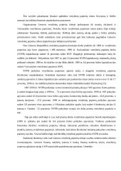 Lietuvos kapitalo rinkos raida 17 puslapis