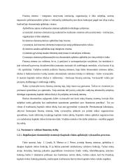 Lietuvos kapitalo rinkos raida 4 puslapis