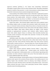 Lietuvos kapitalo rinkos raida 7 puslapis