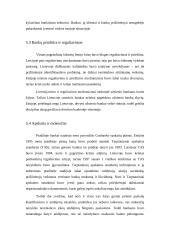 Lietuvos bankų krizė 19 puslapis