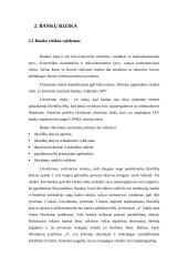 Lietuvos bankų krizė 8 puslapis