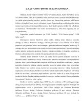 UAB “Citva” analizė 2 puslapis