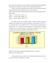 UAB “Citva” analizė 13 puslapis