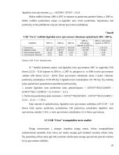 UAB “Citva” analizė 19 puslapis