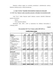 UAB “Citva” analizė 3 puslapis