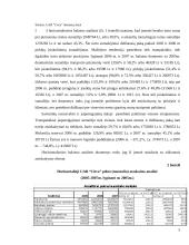 UAB “Citva” analizė 4 puslapis