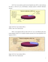 UAB “Citva” analizė 6 puslapis